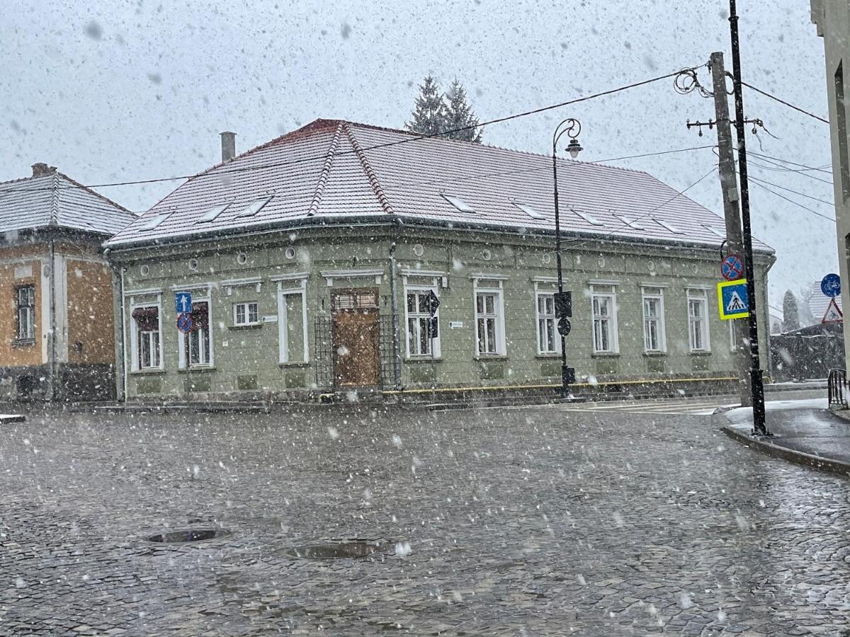 Guest House Hena Sfântu-Gheorghe Buitenkant foto